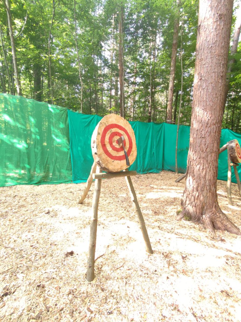 Zielscheibe auf Holz mit Axt